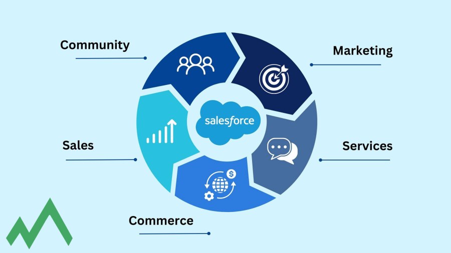 Business with Salesforce and Mountainise